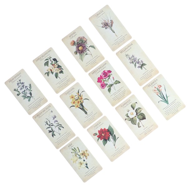 Nybörjare Oracle Cards Set Spådomssägande vägledning spådom Oracle Deck Party Game Present