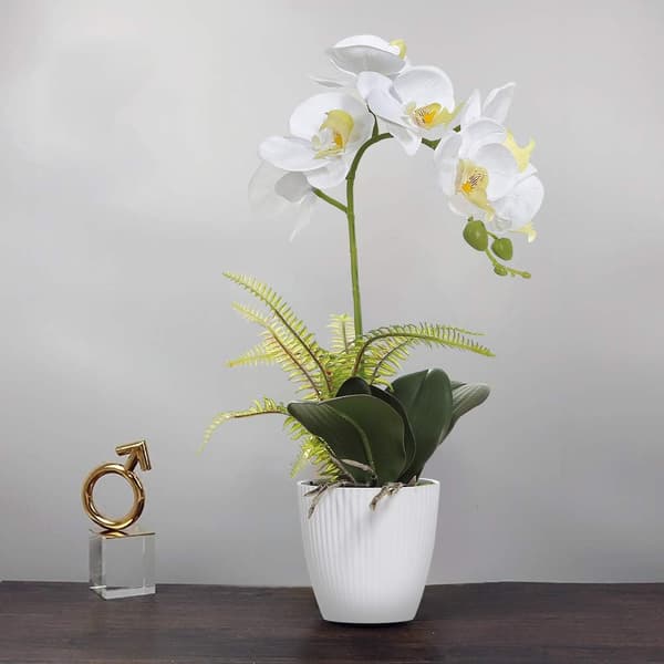 Hvit Kunstig Orkide i Hvit Potte, Hvit Phalaenopsis Orkide Baderom Innendørsdekorasjon