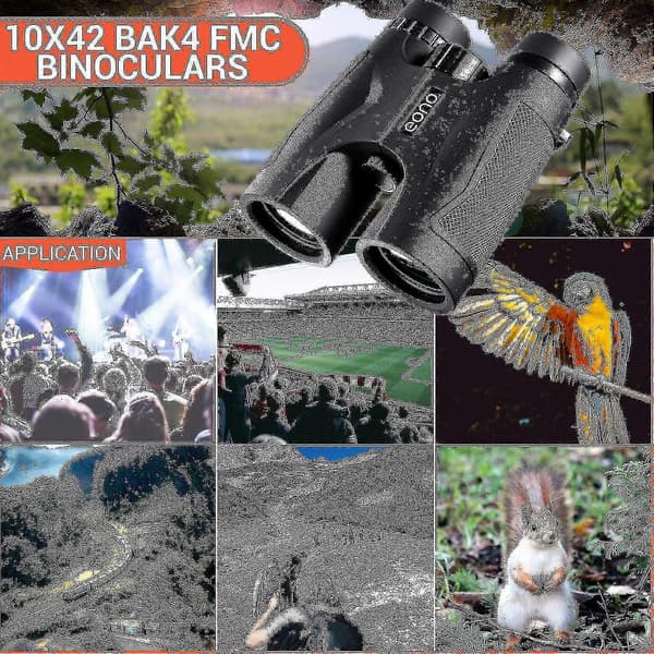 10x42 Kikkert, Fuglekiggerkikkert til voksne, Rejsekikkert (sort)