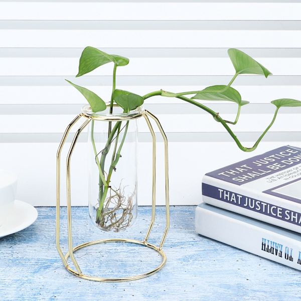 Transparente hydroponiske plantevaser Blomsterpotte Bordsskive Dekorationer Guld