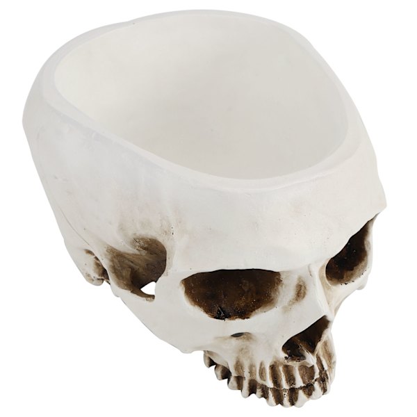 Hartsskalle formad blomkruka Suckulent Planter Container Ornament Halloween Scen Dekoration