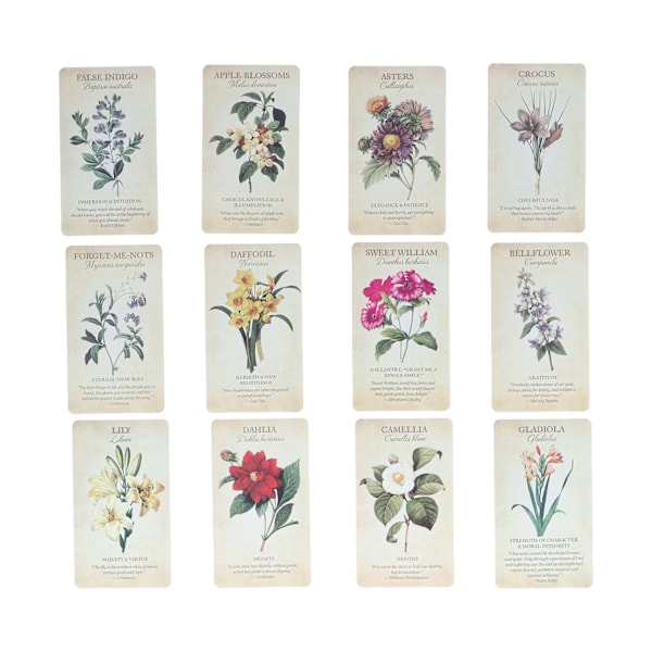 Nybörjare Oracle Cards Set Spådomssägande vägledning spådom Oracle Deck Party Game Present