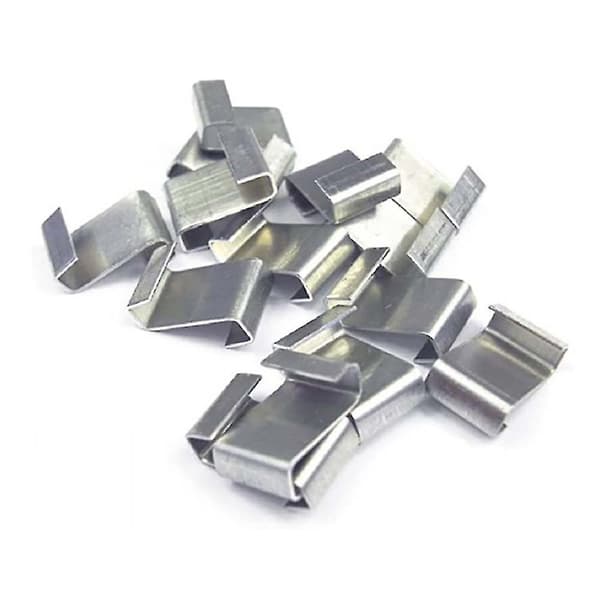 Trädgårdsväxthusglas i rostfritt stål med WZ-typklämmor Z(100pcs)