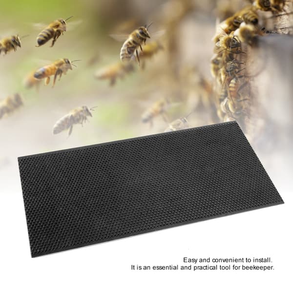 Bio-ram i plast med Comb Foundation Biavlværktøj (sort)