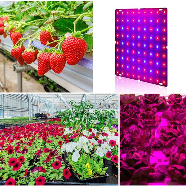 LED-vekstlys for innendørs planter Fullspektrum 12W Panel Plant Grow Lamp