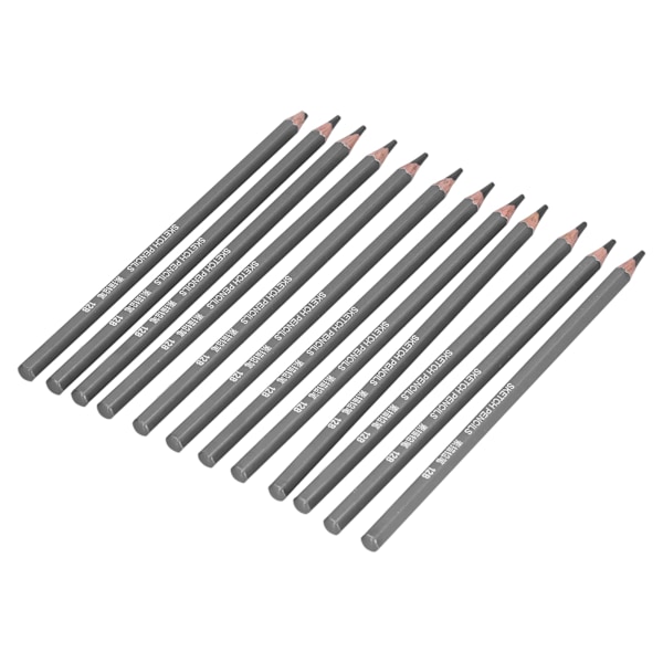 24 st Ritstift Professionell Praktisk Miljöskydd Skisspennor Set för Artister Nybörjare