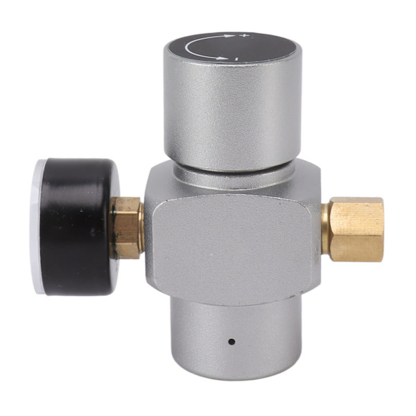 Vattentrycksreduceringsventil 0‑60PSI tryckregulator i rostfritt stål Multifunktionell slangtrycksregulator för hemmabryggning