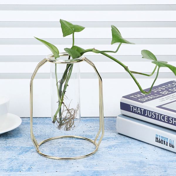 Transparenta hydroponiska växtvaser Blomkruka Bordsskiva Hemdekorationer Guld