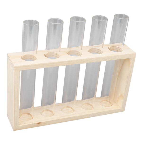 5 Reagensrørsplanter Terrarium Transparent Observer Tilvekststatus Vannplanteholder med treben for urteplante