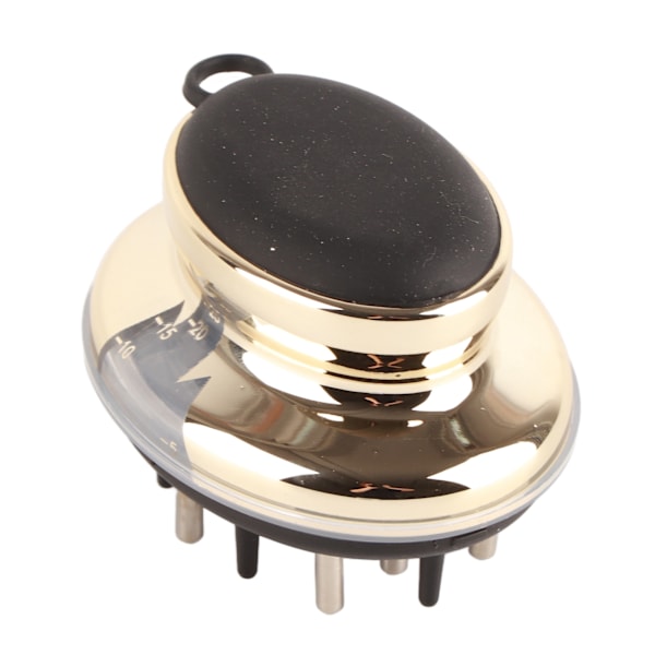 Scalp Applikator Kam Perspektiv Skala Fönster Design Ergonomisk eterisk oljebeständig hårbotten Massager BrushGold