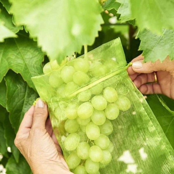 100 st Bundle Protector Bag 10x15cm Grape Fruit Organza Bag med dragsko för fullt skydd