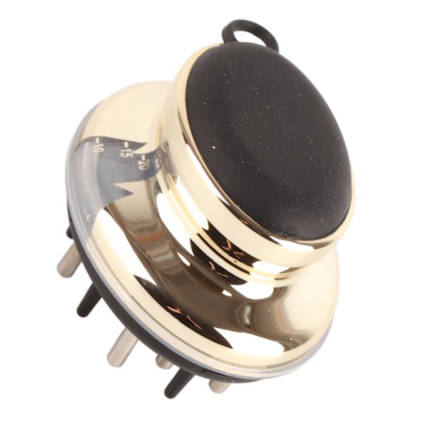 Scalp Applikator Kam Perspektiv Skala Fönster Design Ergonomisk eterisk oljebeständig hårbotten Massager BrushGold