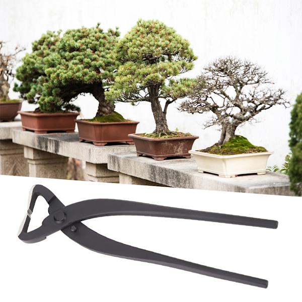 Quality Steel Trunk Splitter Scissors Beginner Bonsai Modeling Tools 210mm
