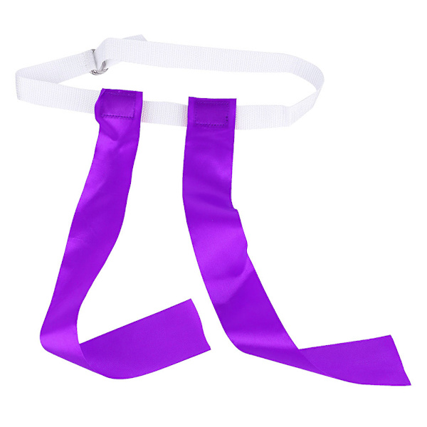 Värikkäät Ribbon Chase Game Barn Ulkoilulelut (Violetti)