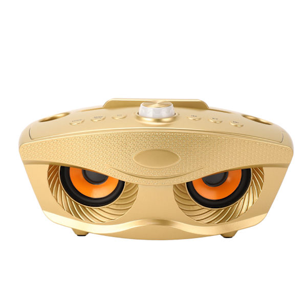 Bärbar Bluetooth-högtalare karaokemaskin med 2 trådlösa mikrofoner Home Style KTV SD306 mikrofon