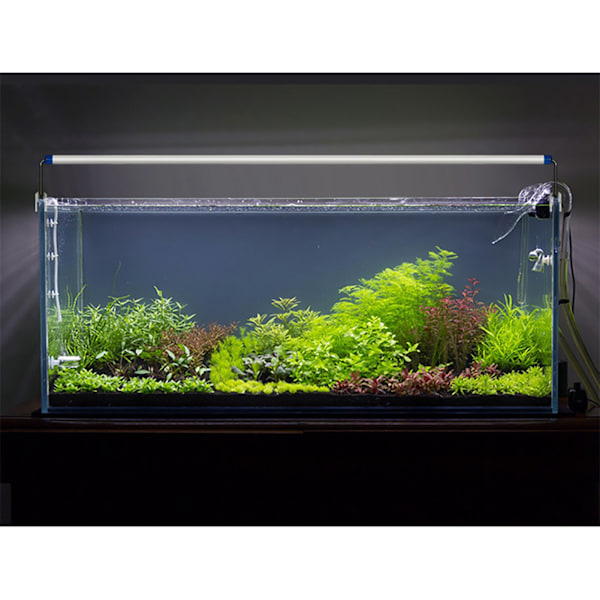 15W LED Akvariebelysning Utrækkelig Vandafvisende Vandplantelampe til Akvarium CN-stik 220V