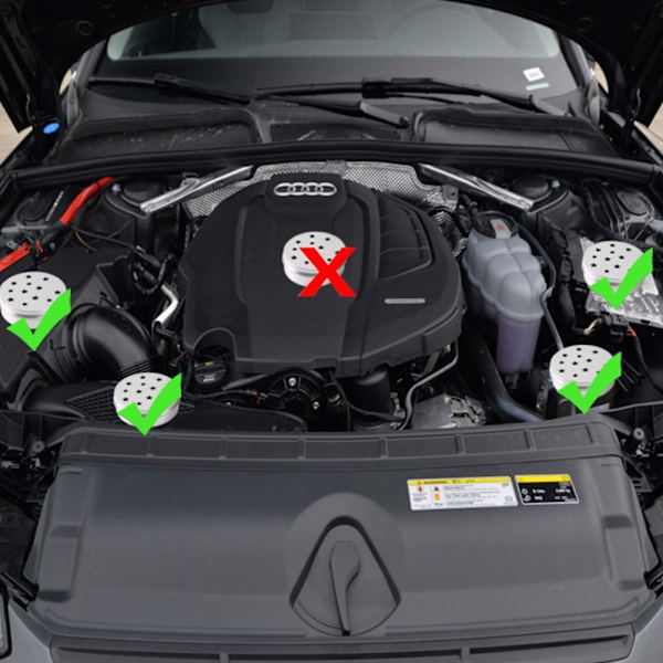 Auton moottoritilan jyrsijöiden karkotus Röttien karkotus Tuhoeläinten karkotus Hiiri- ja rotanmyrkky autoon