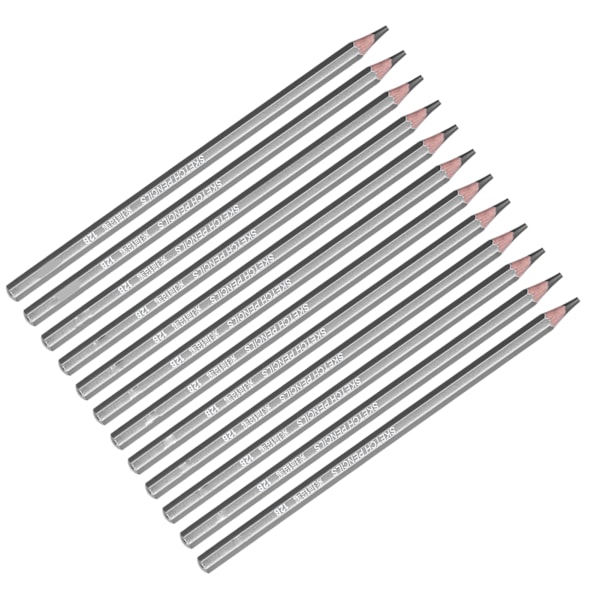 24 st Ritstift Professionell Praktisk Miljöskydd Skisspennor Set för Artister Nybörjare