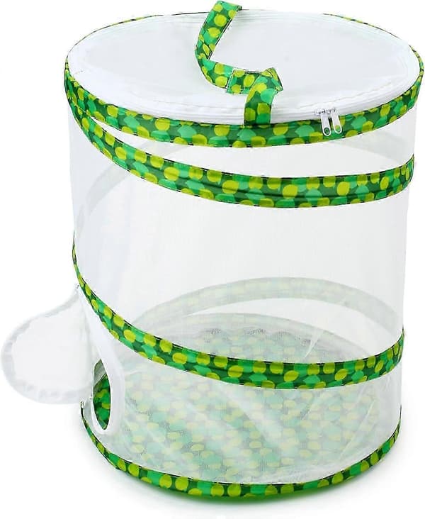 Pop-up terrarium til insekter og sommerfugle, 30 x 36 cm høj