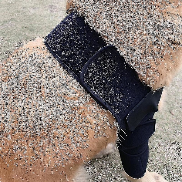Koiran kyynärpäätuki koiran olkapään ja kyynärpään tukeen