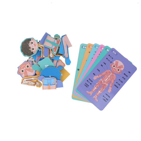 Barn Trä Människokroppens organstruktur Kognitionspussel Sticksågsleksak Pedagogiska leksaker(MG Boy Kroppsstrukturpussel)