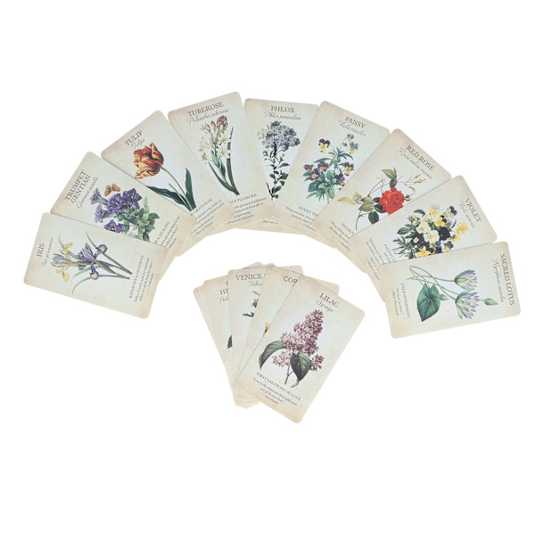 Nybörjare Oracle Cards Set Spådomssägande vägledning spådom Oracle Deck Party Game Present