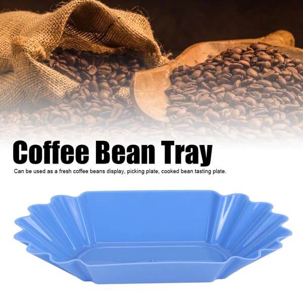 Food Grade PP Plastic Coffee Bean Sample Tray Display Dish Plate Container Home Kitchen Accessory Light Blue
