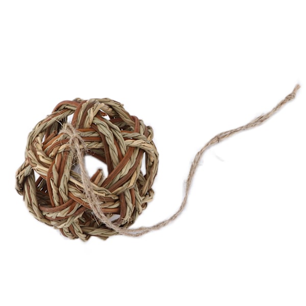 Kanin biter boll Säker ofarlig multifunktionell Bekväm Hamster Chews Aquatic Ball Toy