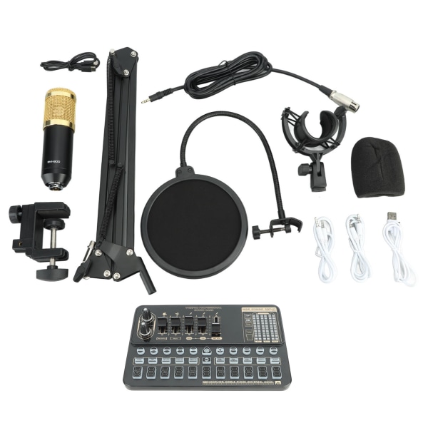 Live Sound Card Cardioid Pickup OTG Transmission Dual Mic Earphone Podcast Equipment Bundle for DJ Karaoke Guitar