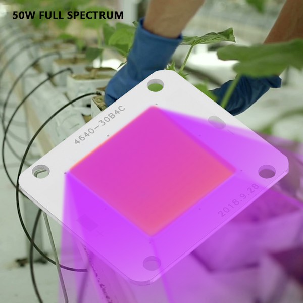 DC12V 50W COB LED Chip Full Spectrum Plant Grow Lamp Ljuskälla