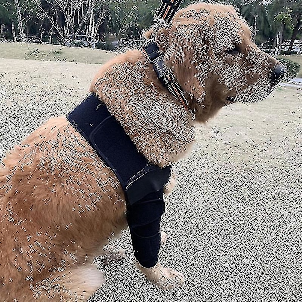 Hundealbuebeskytter til støtte af skulder og albue
