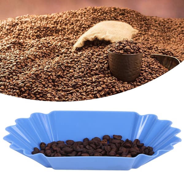 Food Grade PP Plastic Coffee Bean Sample Tray Display Dish Plate Container Home Kitchen Accessory Light Blue