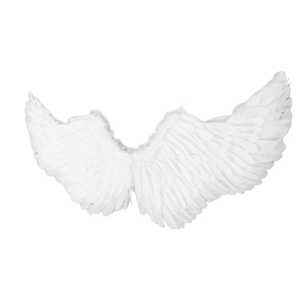 Barn Wing rekvisita Fjäder Kartong Elastiskt band Vuxna Cosplay Kostym Wing för Halloween M