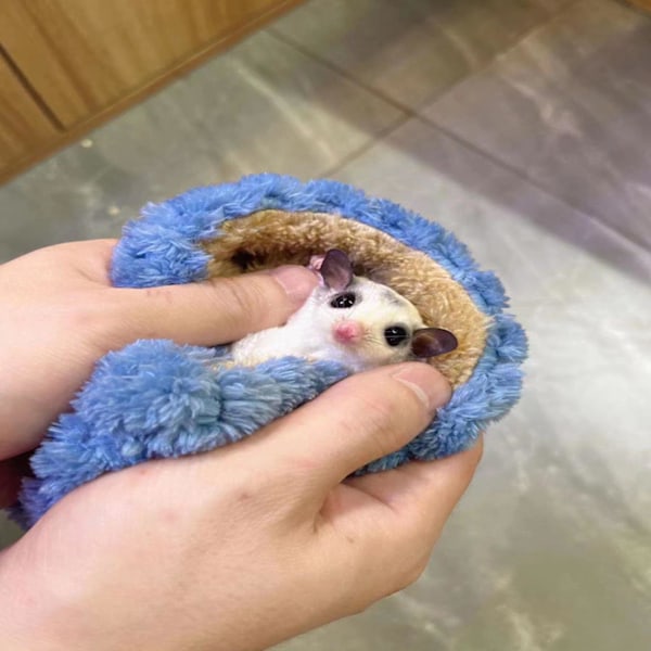 Liten sovepose for kjæledyr Myk Pustende Komfortabel Mini Sugar Gliders Sovepose for hamster Små dyr Blå