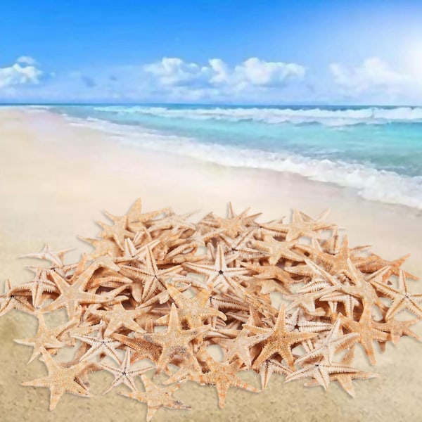Small Starfish Star Sea Shell Beach Craft 0,4 tum-1,2 tum 180 st