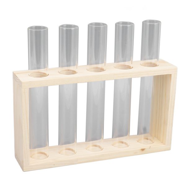 5 Reagensrørsplanter Terrarium Transparent Observer Tilvekststatus Vannplanteholder med treben for urteplante