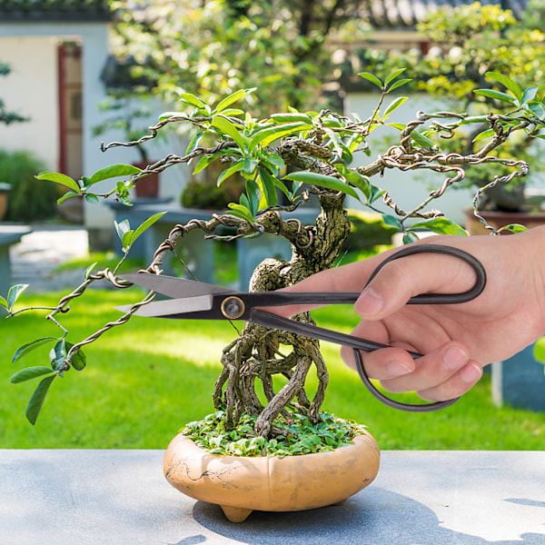 Stark seghet Stål Bonsai Beskärning Sax Trädgårdsarbete Blomsterarrangemang Verktyg Typ 1