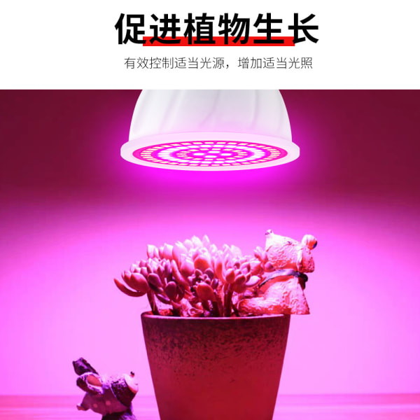 LED-lampa för inomhusväxtodling Röd och blå Spectrum LED-odlingslampa E14 Hydroponisk växtodlingslampa Succulent Flo
