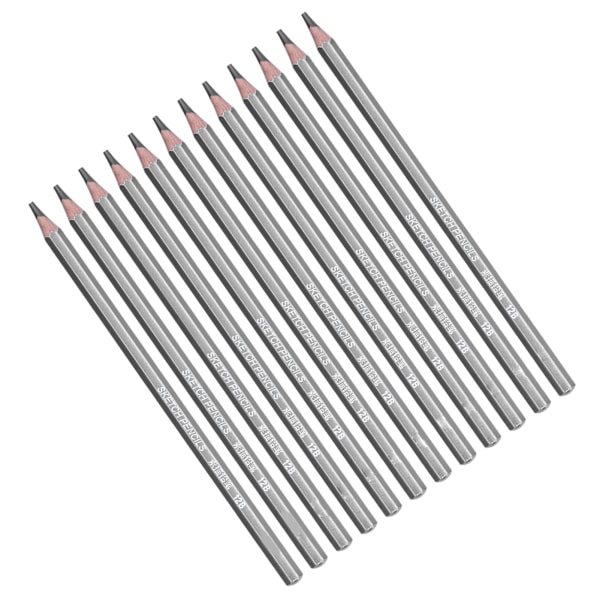 24 st Ritstift Professionell Praktisk Miljöskydd Skisspennor Set för Artister Nybörjare
