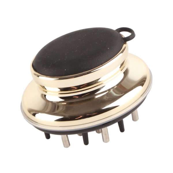 Scalp Applikator Kam Perspektiv Skala Fönster Design Ergonomisk eterisk oljebeständig hårbotten Massager BrushGold