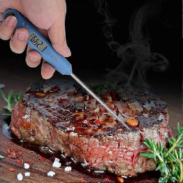 Hög precision BBQ-termometer köttmatlagningstermometer temperaturmätningsverktyg style1406