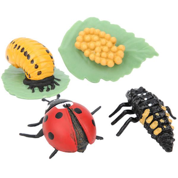 Very Simulation Insect Model Toy Educational Children Kid Ladybug Model Toy Gift Ladybug