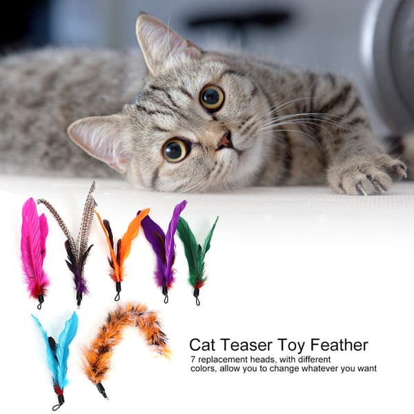 Katt Teaser Dingle Leke Sett 7 stk Fjærskifte