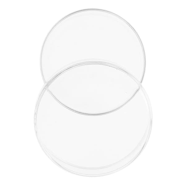 Transparent petriskål i glas för laboratoriebruk, 4 st
