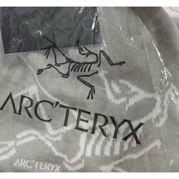Hatt ARC'TERYX Herrhatt Varm Vintermössa Kompatibel med Casual Light gray