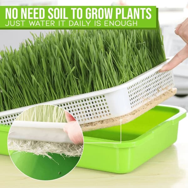 Double Layer Seedling Hydroponic Nursery Tray Garden Seedling Pots
