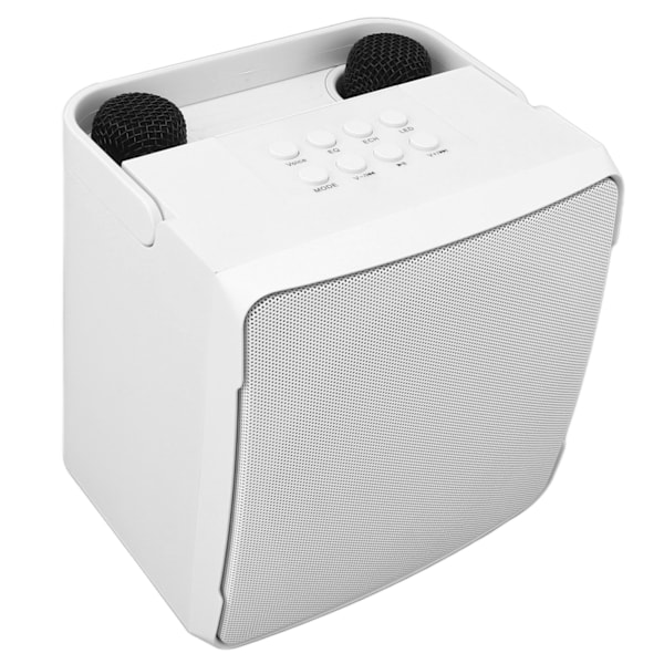 Karaokemaskin med to mikrofoner 10W Bærbar Bluetooth-høyttaler for barn Bursdag Hjemfest Hvit