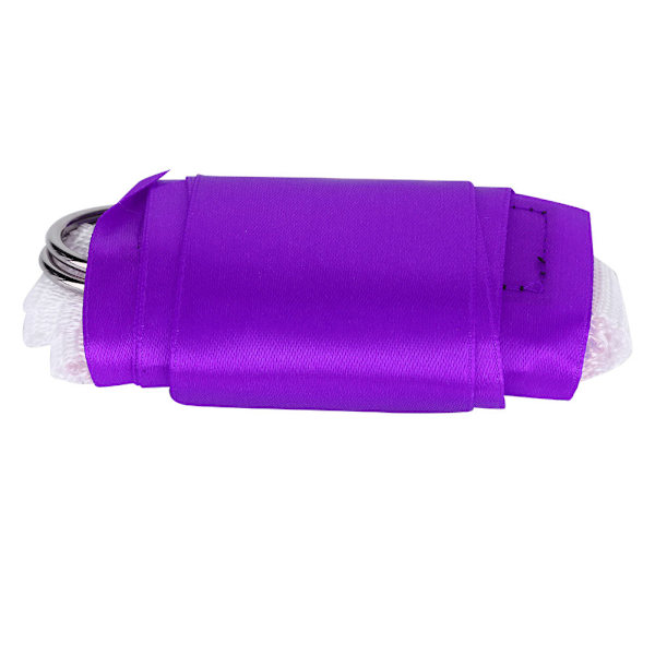 Värikkäät Ribbon Chase Game Barn Ulkoilulelut (Violetti)