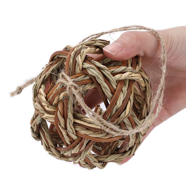 Kanin biter boll Säker ofarlig multifunktionell Bekväm Hamster Chews Aquatic Ball Toy