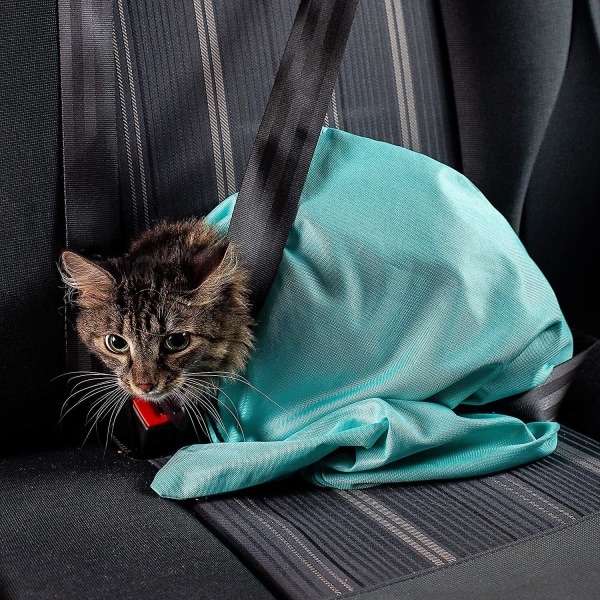 Cat Going Out Olkalaukku Kissan pesulaukku Lemmikkilaukku Matkalaukku